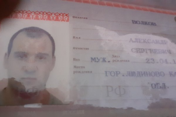 Официальный сайт даркнета