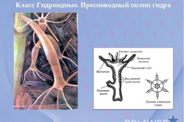 Kraken at сайт